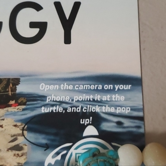 Adopt a Turtle Today! Wildlife Tracker and Adoption Sheet - Picture 3 of 4